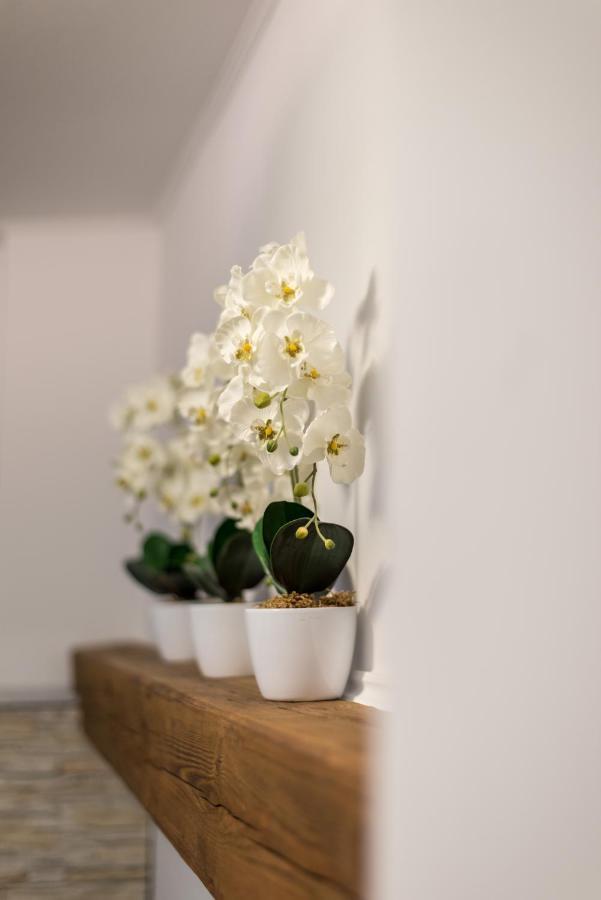 Orchideen Apartment フィラハ エクステリア 写真